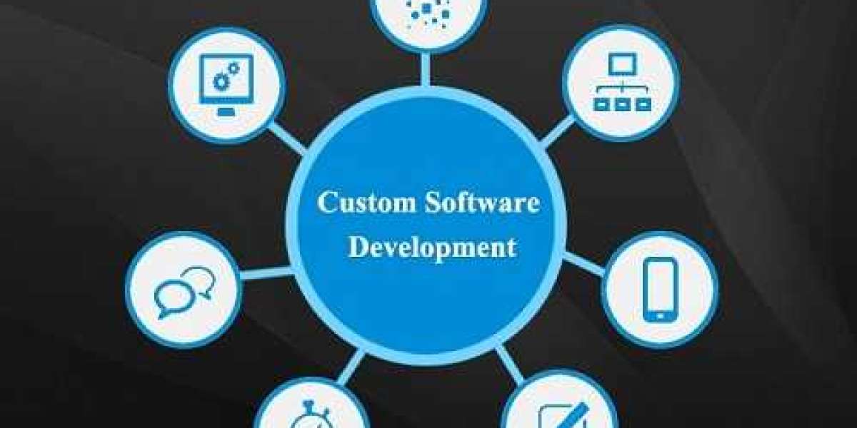 Custom Software Development Market Size, Share & Growth [2032]