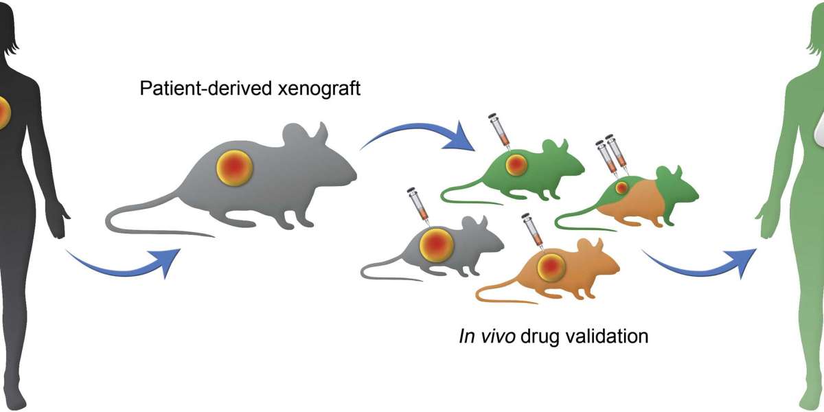 Patient-Derived Xenograft Model Market Overview, Growth, Opportunities and Development nad Forecast 2030